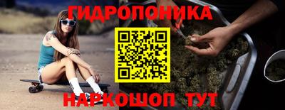 индика Кинель