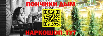 индика Кинель